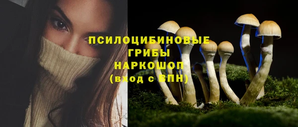 винт Бородино