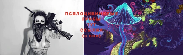 винт Бородино