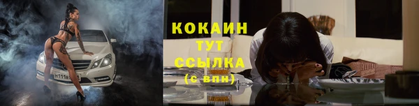 сатива Бронницы