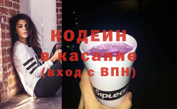 сатива Бронницы